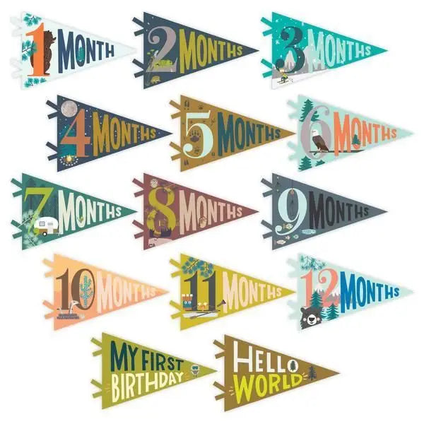 Little Camper Petit Monthly Milestone Pennant Set