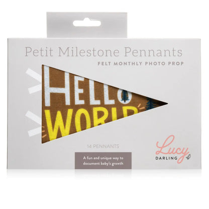 Little Camper Petit Monthly Milestone Pennant Set